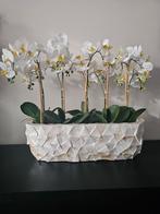 Mother of pearl schelpenvaas>kunst orchideeën>erik kuster, Huis en Inrichting, Woonaccessoires | Vazen, Minder dan 50 cm, Nieuw