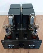 Single ended 845 buizen versterker (gemodificeerd), Ophalen, Buis of Buizen