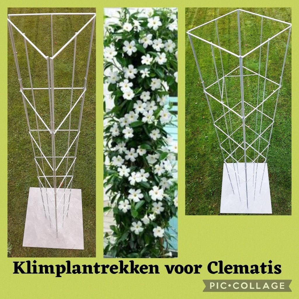 klimrekken draadrekken rek voor tuinplanten klimplanten, Tuin en Terras, Overige soorten, Vaste plant, Ophalen of Verzenden, Halfschaduw