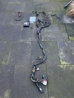 Volvo 240 B230F Kabelboom, Ophalen, Gebruikt, Volvo