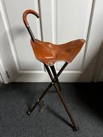 Zit wandelstok., Ophalen of Verzenden, Opvouwbaar, Gebruikt