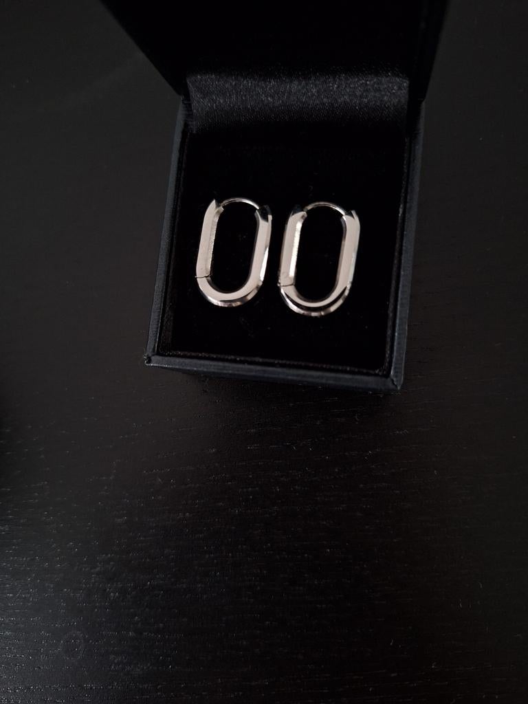 Ovale oorbellen | Stainless steel | NIEUW, Ophalen of Verzenden, Nieuw, Zilver, Overige materialen