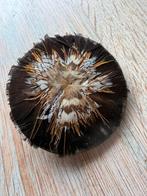 Vintage veertjes broche, Ophalen of Verzenden, Zo goed als nieuw, Zilver, Overige materialen