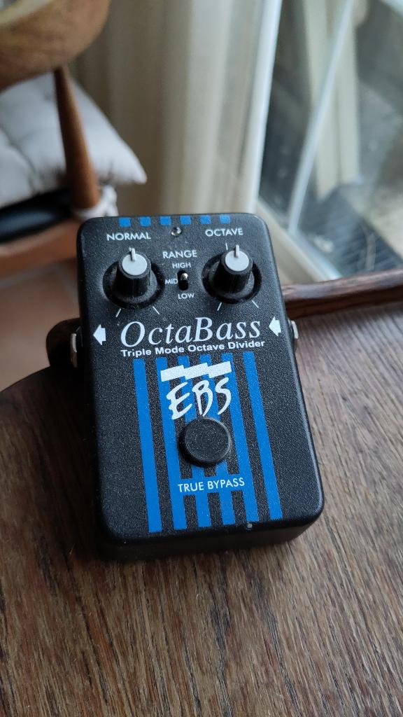 EBS OctaBass, Muziek en Instrumenten, Ophalen of Verzenden, Gebruikt, Overige typen
