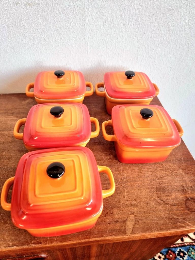 9637: Le Creuset Mini Square Cocottes (Set of 5), Ophalen of Verzenden