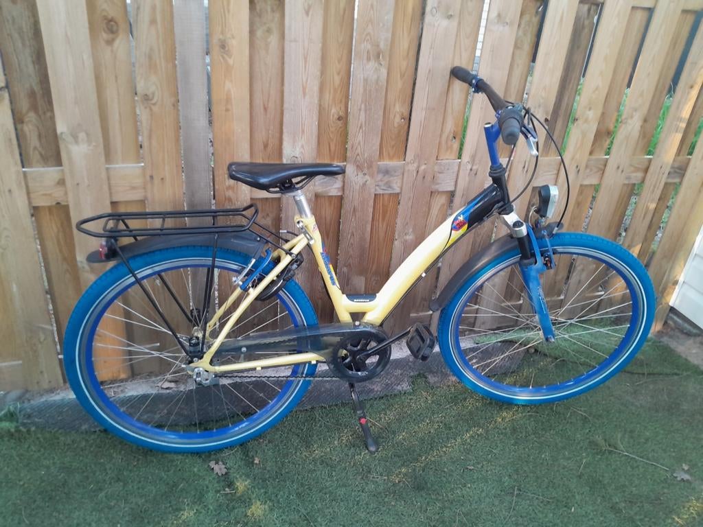 Batavus snake 26 inch, Fietsen en Brommers, Fietsen | Meisjes, Ophalen, Gebruikt, 26 inch of meer, Versnellingen