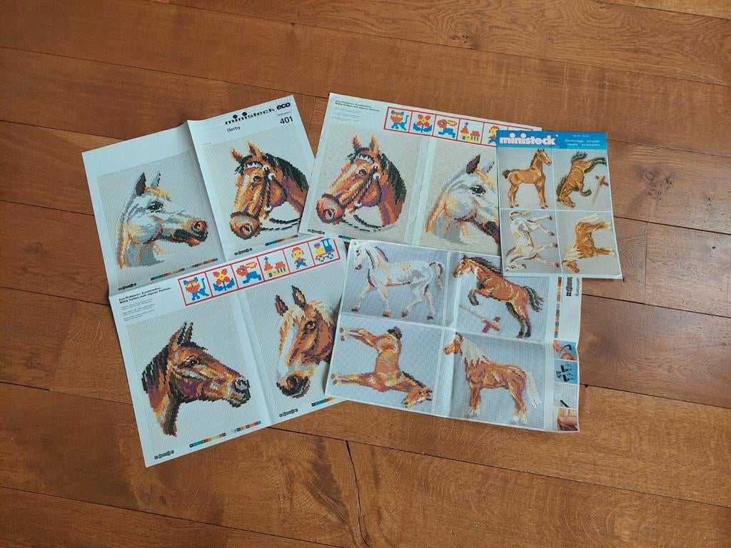 Ministeck voorbeelden paard, Ophalen of Verzenden, Gebruikt, Voorbeeldboek