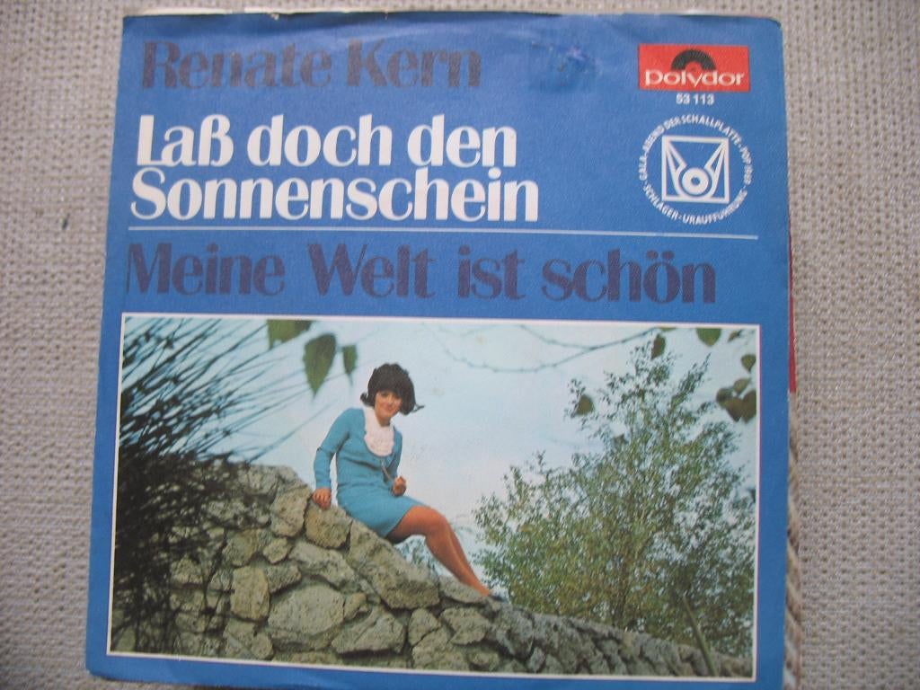 Renate Kern - Las doch den Sonnenschein, Gebruikt, Overige genres, 7 inch, Single