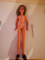 Nutricia Pop 1978 met Klederdracht Boekjes, Ophalen of Verzenden, Gebruikt, Overige typen