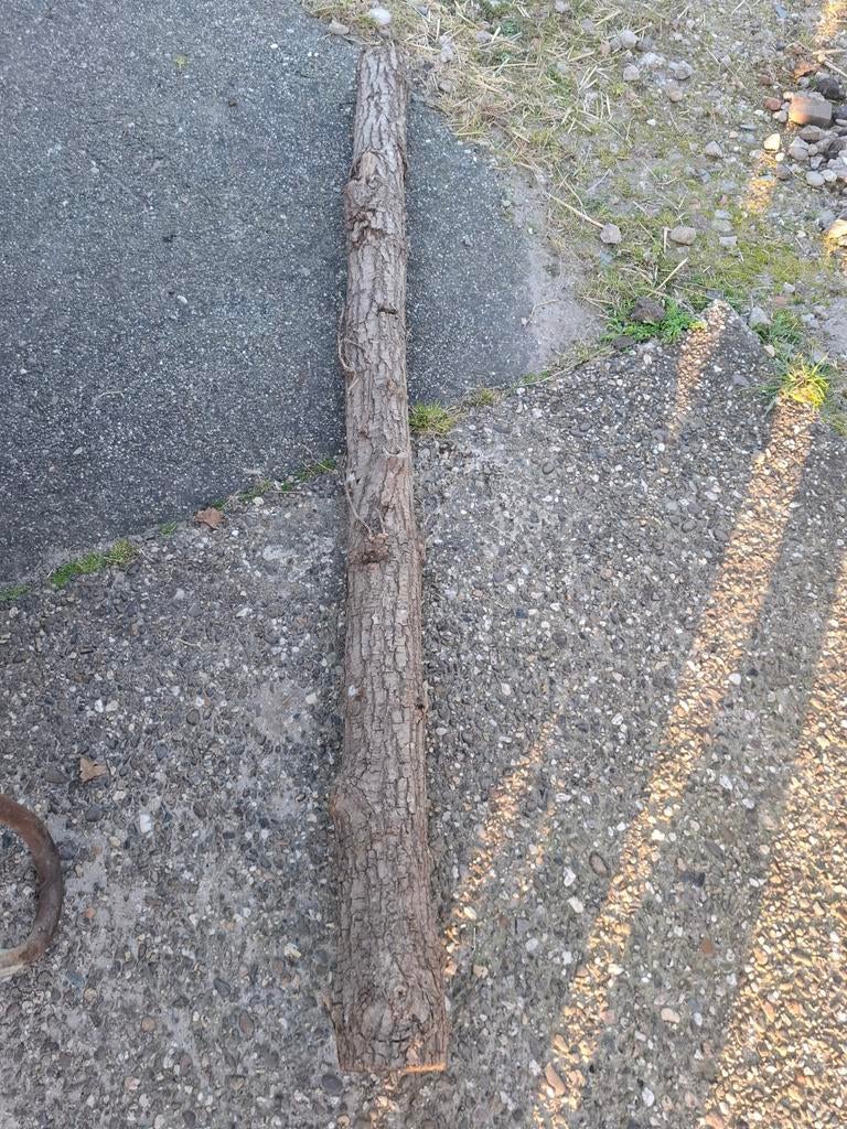 4 stammen hout, Minder dan 3 m³, Ophalen, Overige houtsoorten, Stammen