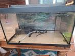 Aquarium 60 liter, Ophalen, Zo goed als nieuw, Leeg aquarium