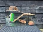 Hamsterkooi, hamsterhok, Minder dan 60 cm, Gebruikt, Minder dan 75 cm, Ophalen of Verzenden