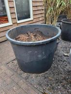 Boomkuip / Vijver 750 liter, Tuin en Terras, Vijvers, Ophalen, Zo goed als nieuw