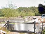 Dongen Weiland te huur 1.3 Ha, Weidegang, 4 paarden of pony's of meer