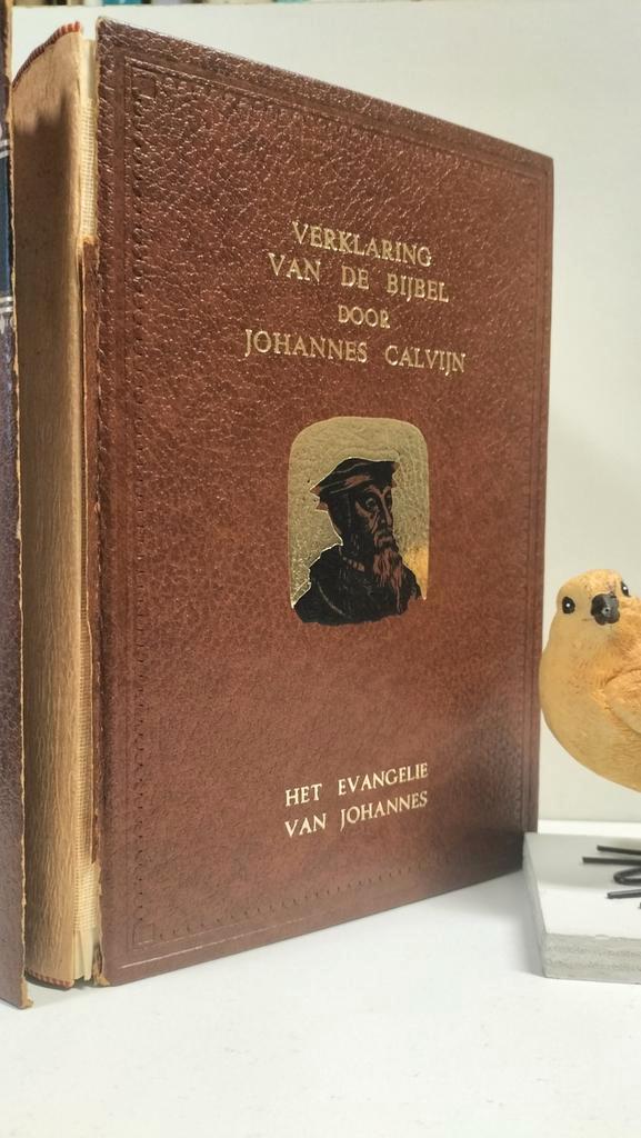 Calvijn, Joh;Verklaring vd Bijbel:  Het evangelie Johannes, Boeken, Godsdienst en Theologie, Gelezen, Christendom | Protestants