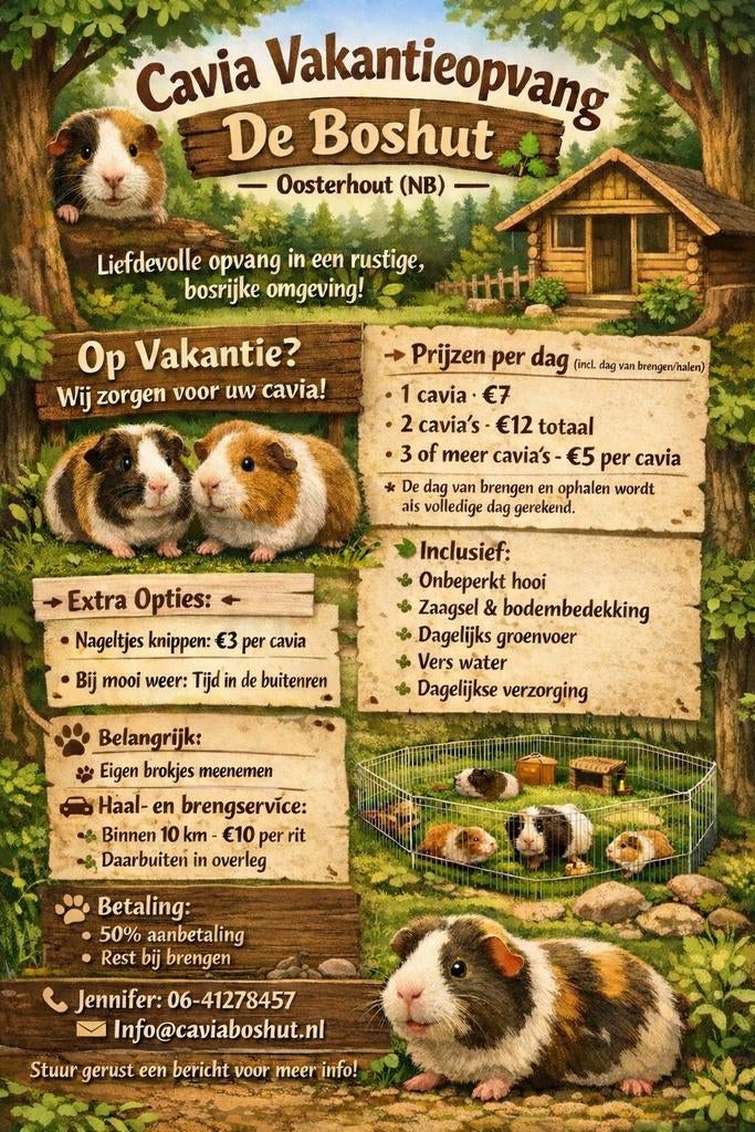 Cavia vakantieopvang de Boshut, Ophalen of Verzenden, Nieuw, Overige typen