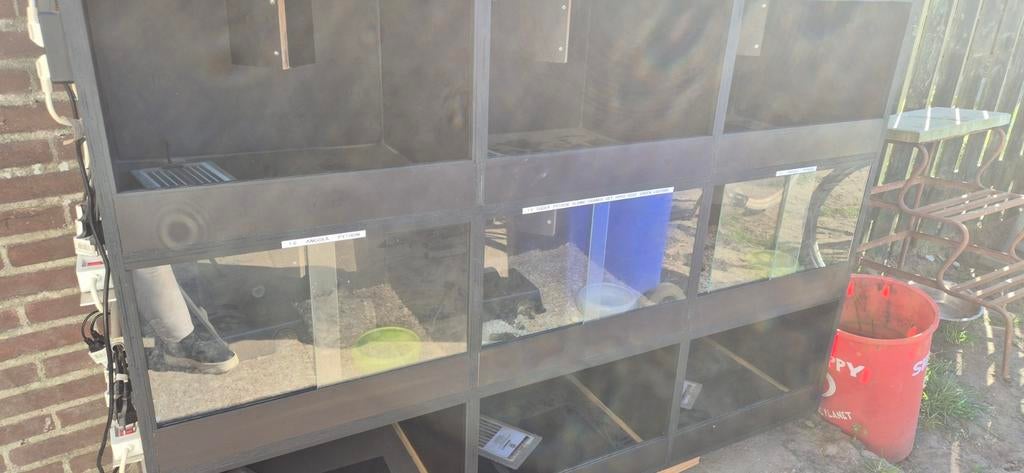 9 vaks terrarium, Ophalen, Zo goed als nieuw, Terrarium of Paludarium