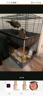 Fluffy konijntjes, Ophalen of Verzenden, Minder dan 75 cm, Kooi, Minder dan 60 cm