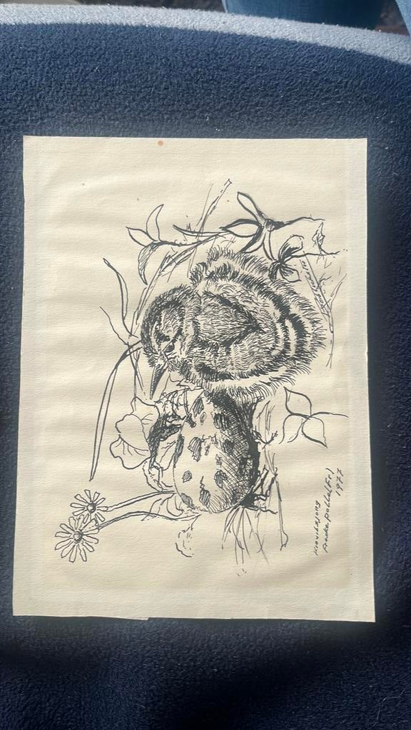 Pentekening van Bert Tiekstra(1977), Antiek en Kunst, Ophalen of Verzenden