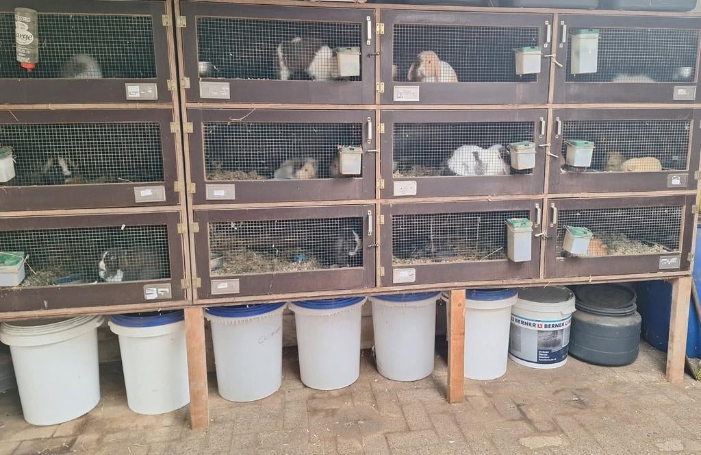 Twee flats 18 delig - betonplex - onderhoudsvrij, Ophalen, 90 cm of meer, Konijn, Hok