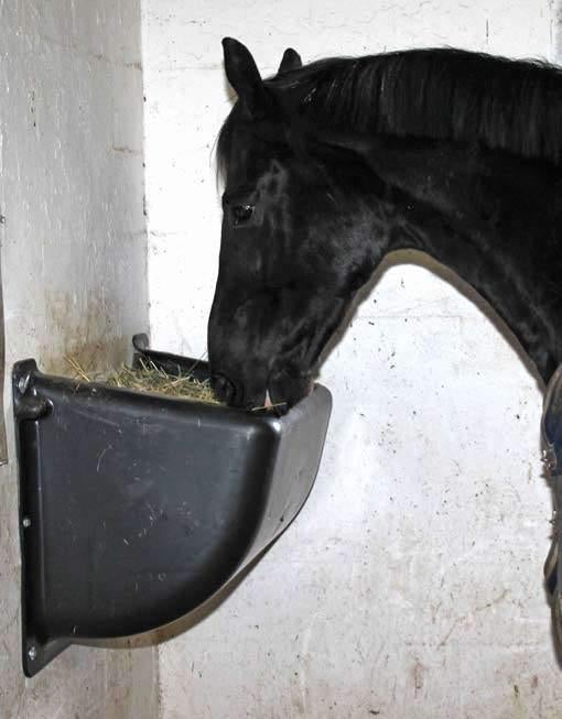 Slowfeeder, Dieren en Toebehoren, Paarden en Pony's | Overige Paardenspullen, Ophalen of Verzenden, Nieuw, Overige soorten