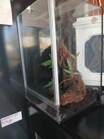 klein terrarium, Ophalen, Zo goed als nieuw, Terrarium of Paludarium