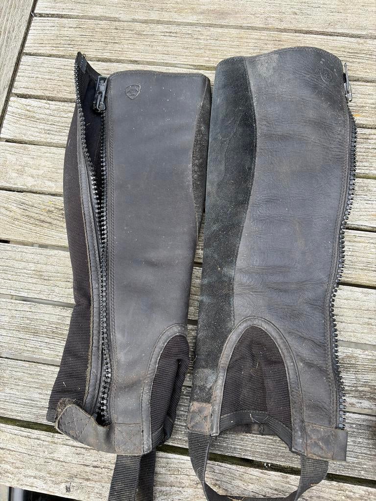 Ariat Chaps maat xs, Ophalen, Gebruikt