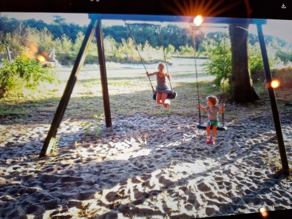 Schommel met 2 rubberen veiligheids zitjes, Ophalen, Schommel