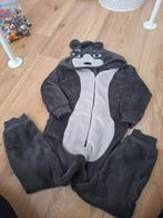 Efteling onesie beer 104/110, Ophalen of Verzenden, Zo goed als nieuw, 110 t/m 116, Jongen of Meisje