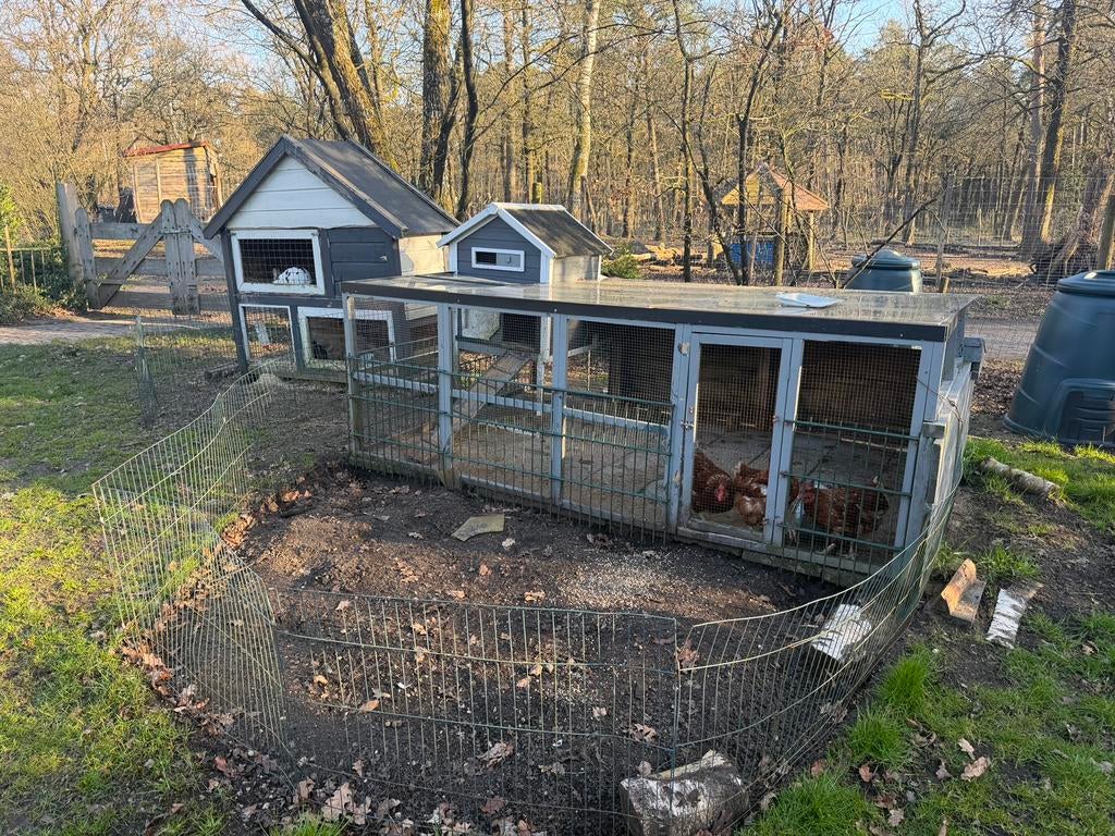 Kippenhok, ren en 3 kippen, Dieren en Toebehoren, Ophalen, Zo goed als nieuw, Kippenhok of Kippenren
