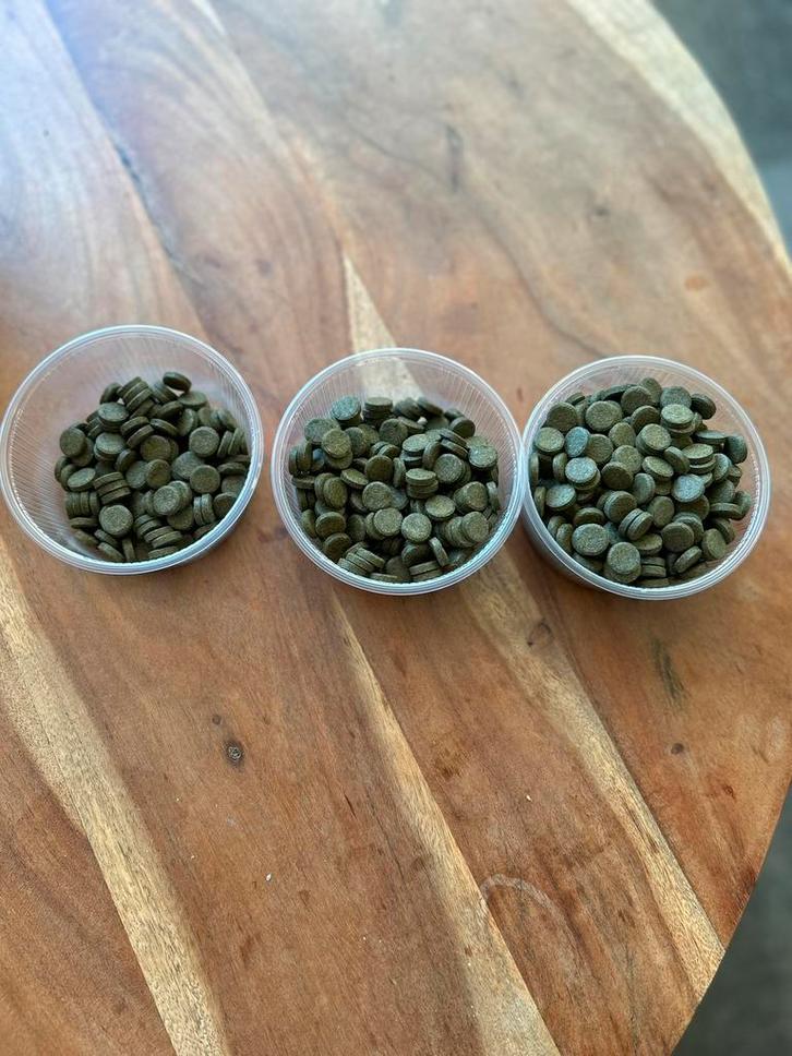 Vis en garnalen voer, spirulina tabletten, Dieren en Toebehoren, Vissen | Aquariumvissen, Vis