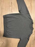 Daily paper trui grijs, Ophalen of Verzenden, Zo goed als nieuw, Grijs