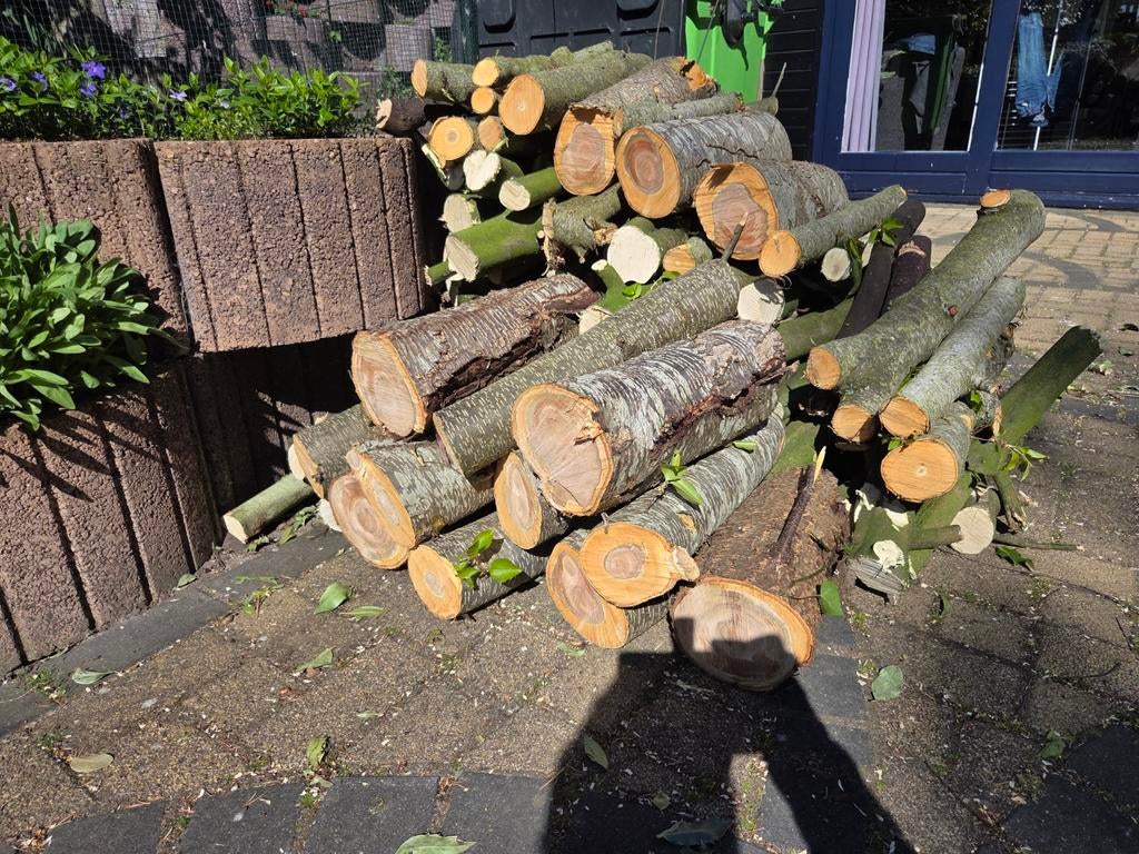 Brandhout partij - diverse houtsoorten, Minder dan 3 m³, Ophalen, Overige houtsoorten, Blokken