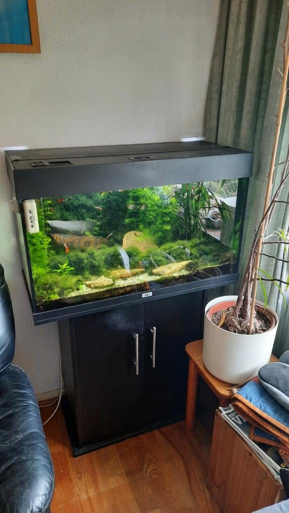 Aquarium Jewel Rio 125 te koop met meubel, Ophalen, Gebruikt, Inclusief deksel, Gevuld zoetwateraquarium