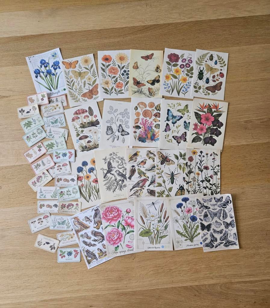 350 + journal en scrapbook papier en stickers!, Hobby en Vrije tijd, Scrapbooking, Ophalen of Verzenden, Nieuw, Versiering of Embellishment