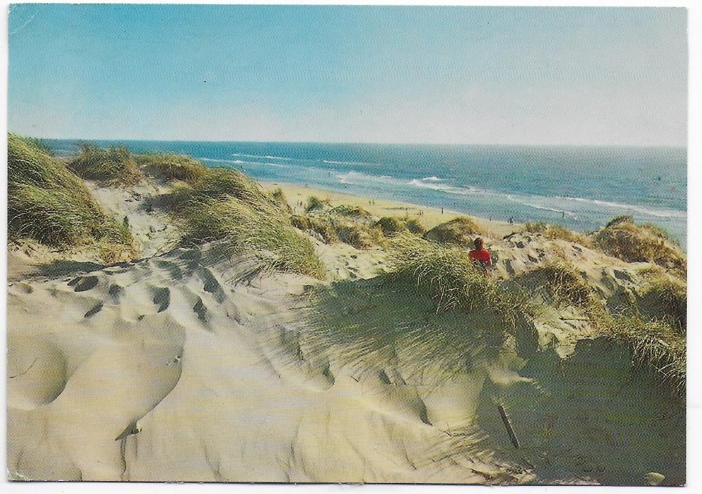 Nederland Zee en Duinen Gelopen Ansichtkaart ( B5735), Ophalen of Verzenden, 1980 tot heden, Gelopen, Noord-Holland