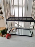 Muizen of kleine knaagdier kooi, Ophalen, Minder dan 75 cm, Kooi, Minder dan 60 cm