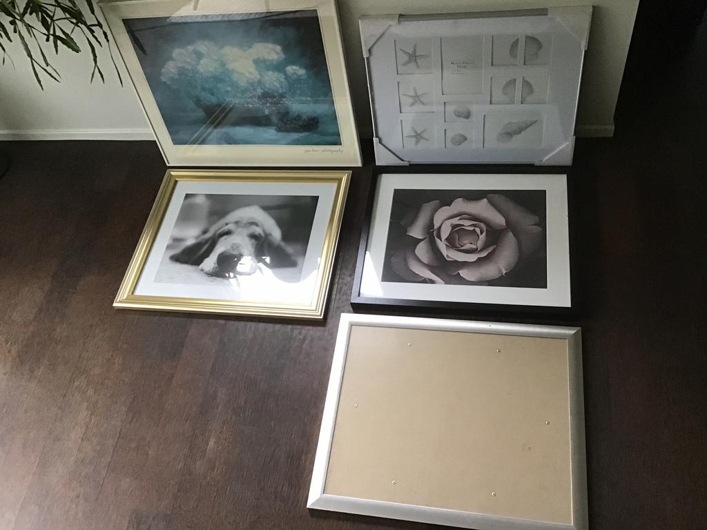 5 schilderijlijsten - zwart - wit - goud - zilver, Ophalen of Verzenden, Zo goed als nieuw, Hout, 50 tot 75 cm