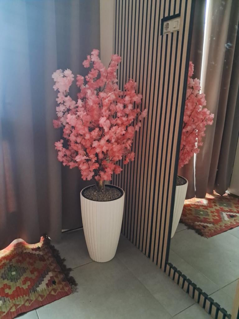 Aanbieding Bloesemboom, Ophalen of Verzenden