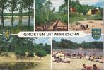 Kr328 Gelopen ansichtkaart Appelscha, Verzenden, 1980 tot heden, Gelopen