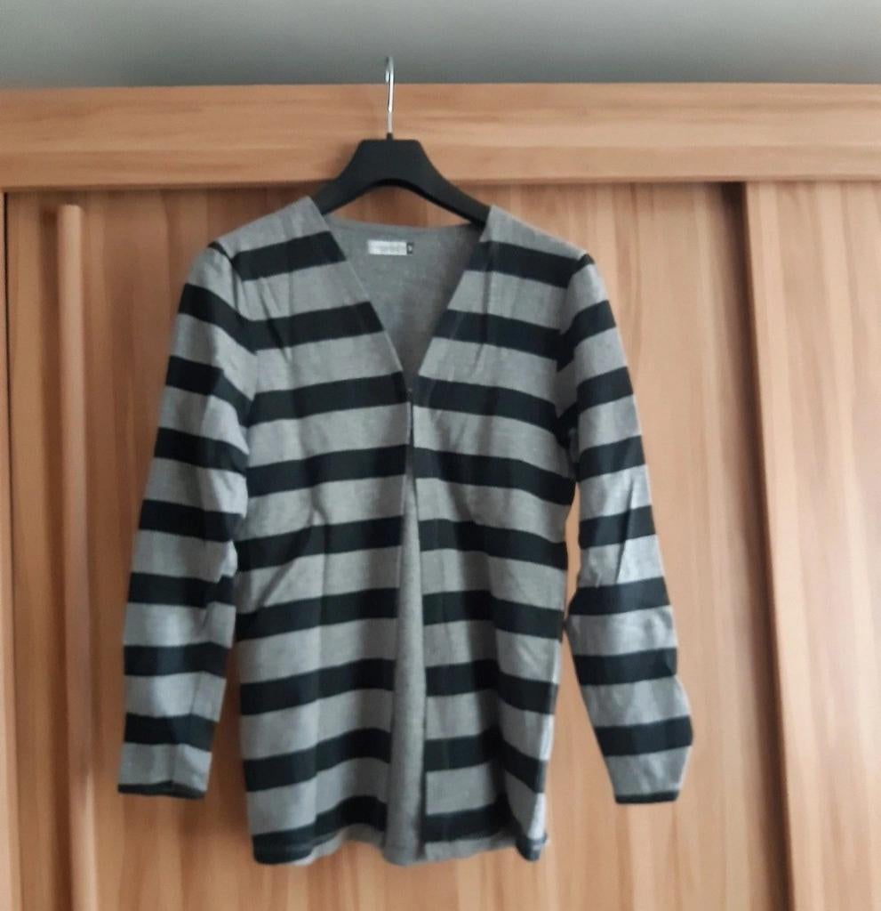 Stijlvol gestreept vest van True Spirit - Maat M, Maat 38/40 (M), Ophalen of Verzenden, True Spirit, Grijs