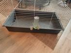 Gratis cavia kooi., Kooi, 75 tot 110 cm, Cavia, Ophalen