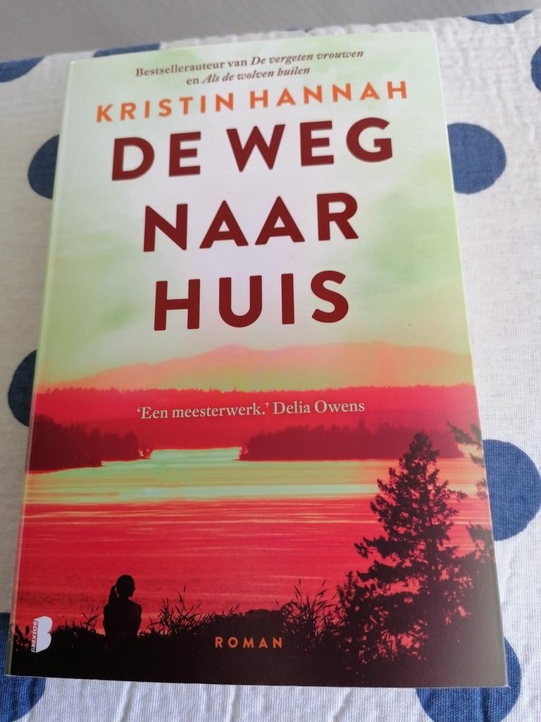 Kristin Hannah - De weg naar huis, Ophalen of Verzenden, Gelezen, Kristin Hannah