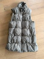 Air force bodywarmer nieuw L, Kleding | Dames, Bodywarmers, Ophalen of Verzenden, Zo goed als nieuw, Grijs