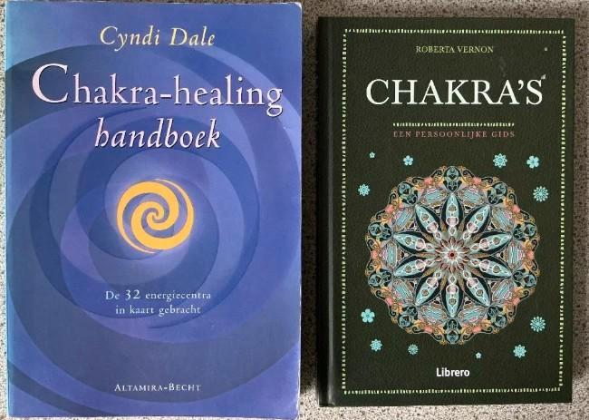 Chakra healing handboek / Chakra’s - Cyndi Dale / Vernon, Boeken, Esoterie en Spiritualiteit, Zo goed als nieuw, Achtergrond en Informatie