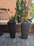 Prachtige, zeer zware stenen bloempotten in antraciet kleur., Ophalen, Steen, Minder dan 30 cm, Rond