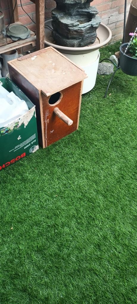 Broedblok parkieten, Meerdere dieren, Parkiet