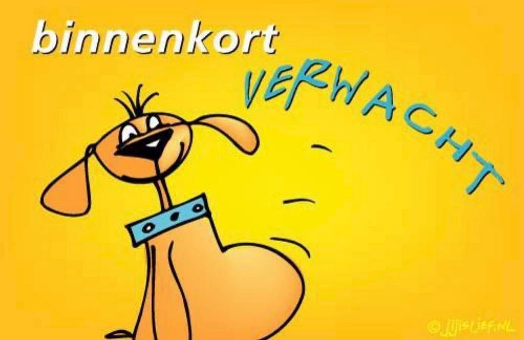 Jools E-Trail E-bike >>Bafang M400 middenmotor– Topstaat, 57 cm of meer, Ophalen of Verzenden, Zo goed als nieuw, Overige merken