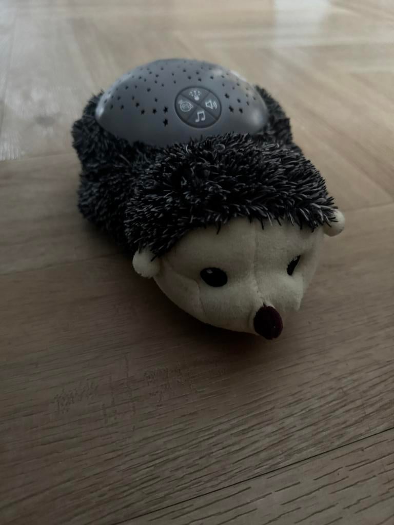 Zazu ster projector, Harry, Ophalen of Verzenden, Zo goed als nieuw