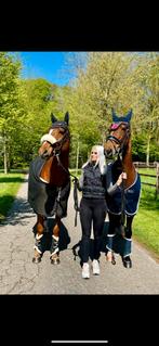 Verzorgster/ bijrijder gezocht, Dieren en Toebehoren, Ophalen of Verzenden